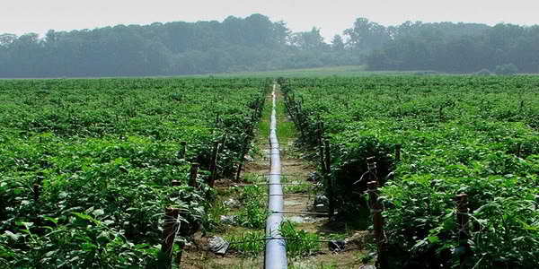 L’importance des tuyaux HDPE dans l’irrigation des espaces verts