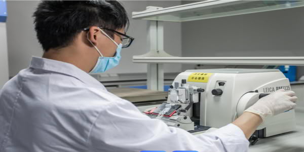 PPR Pipe for Cold Water