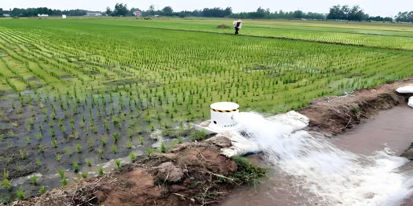 Steel-plastic pipe fittings are used in agricultural irrigation.